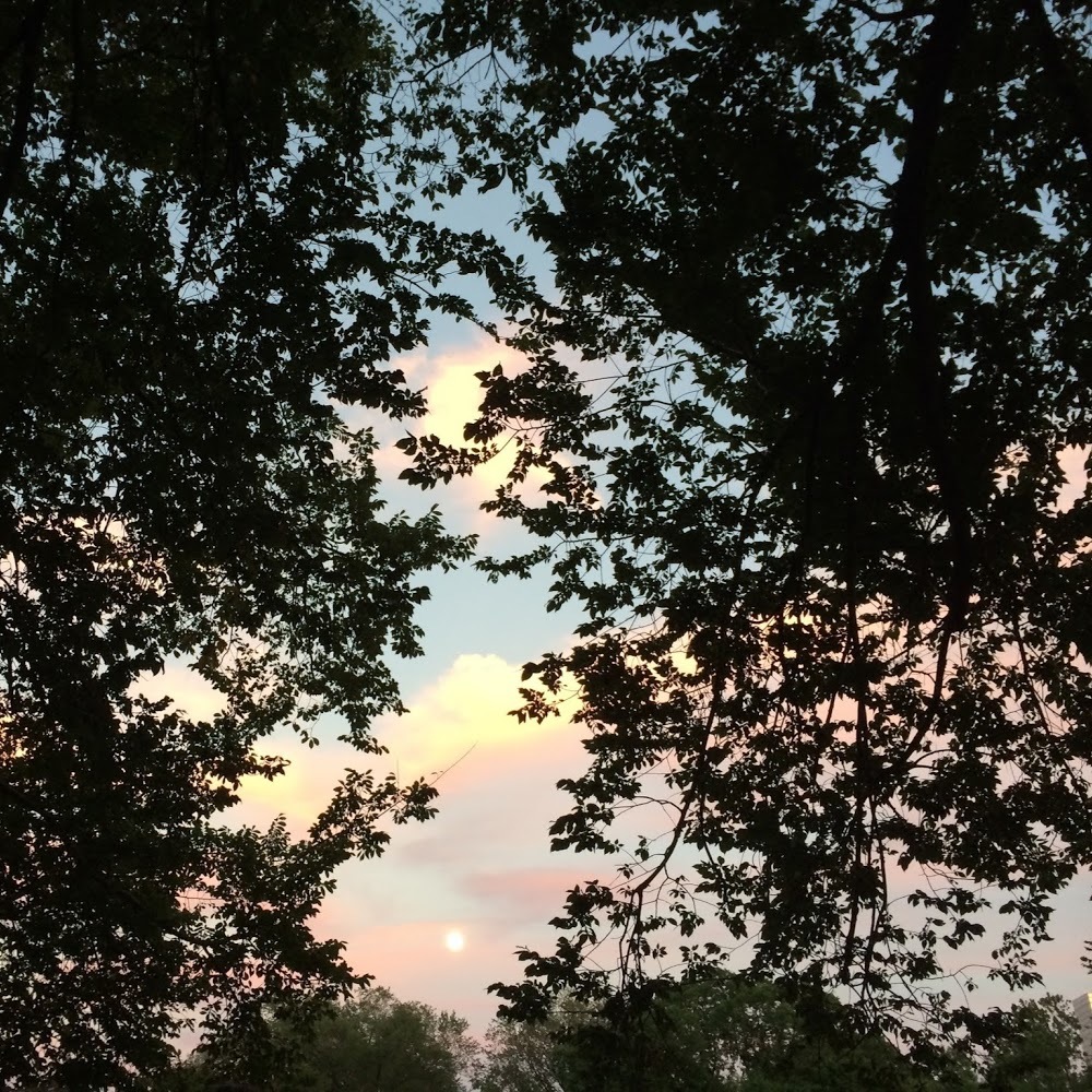 Meet your Posher, Ava